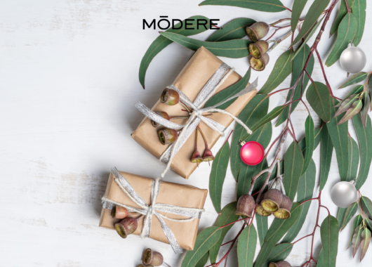 Modere Holiday Collection 2023